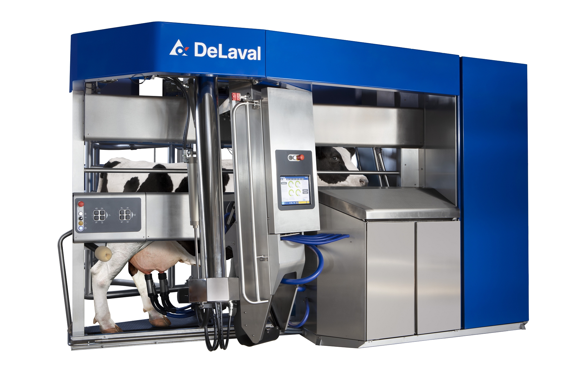 K Delaval Vms V300 Holstein