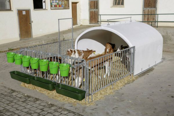 Calfhouse Premium Xxl 7er Mit Und Ohne Umzaeunung Erhaeltlich