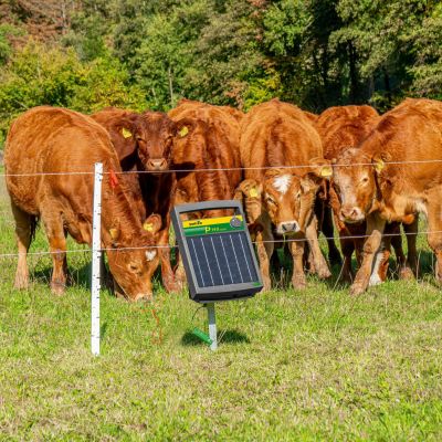 Weidezaun Landtechnik in Bassum