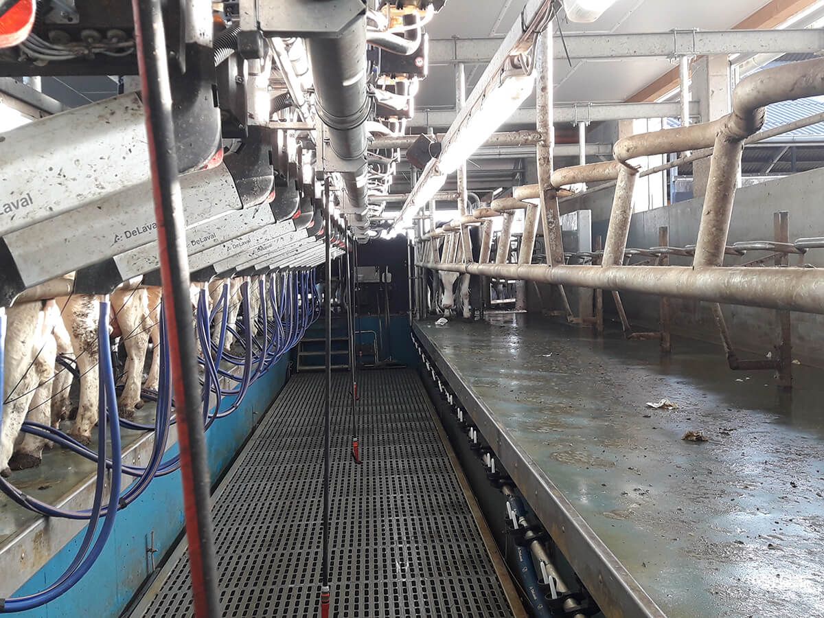 Melktechnik in Bassum