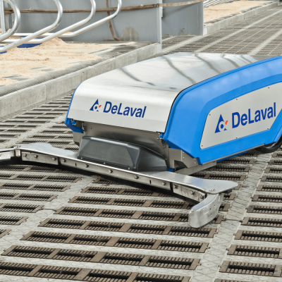 Entmistungstechnik in Bassum