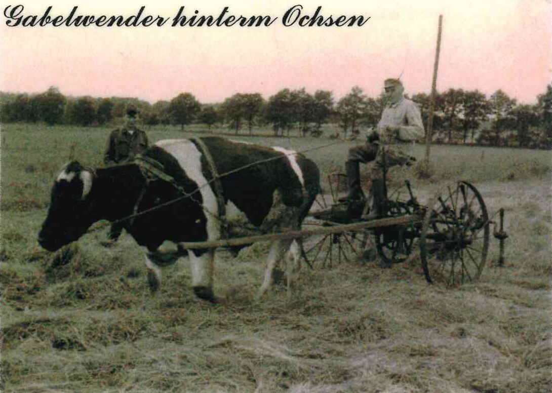 Gabelwender Firma Sündermann