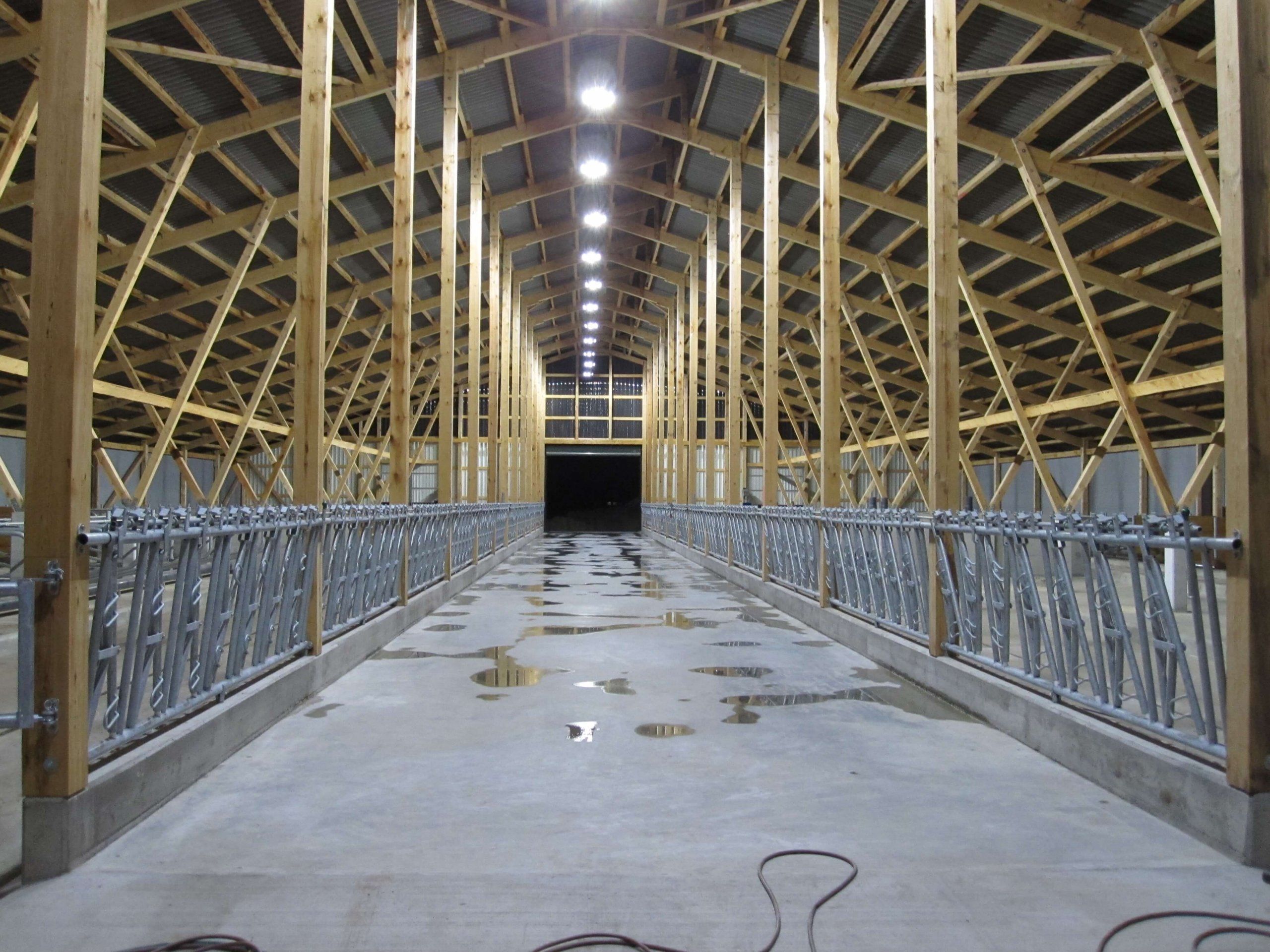 Stalleinrichtung für Kühe in Bassum