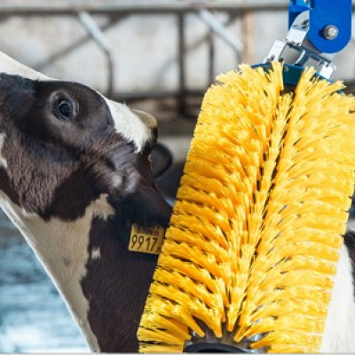 Tierzuchtartikel Landtechnik in Bassum