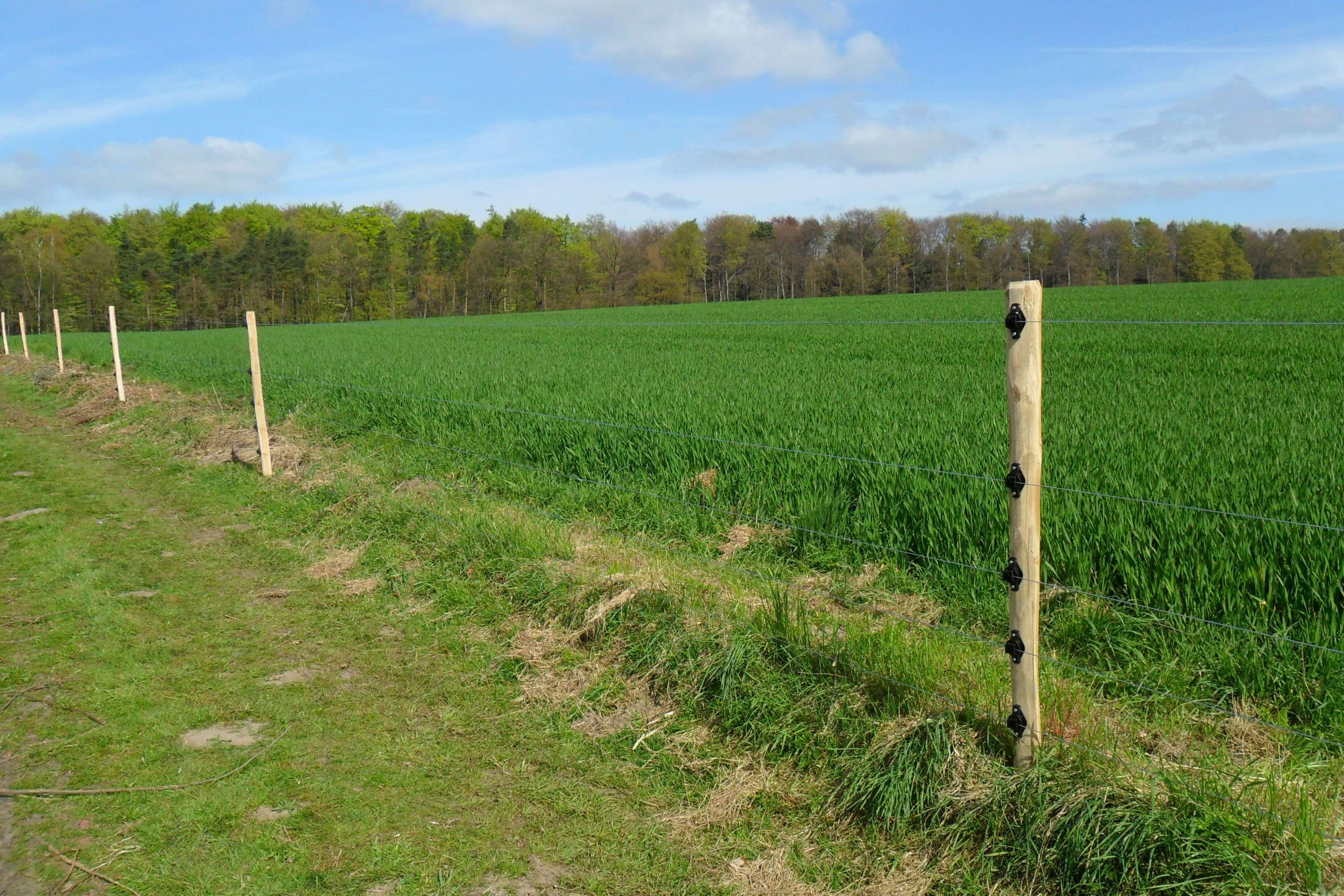 Hof & Weide Sündermann in Bassum